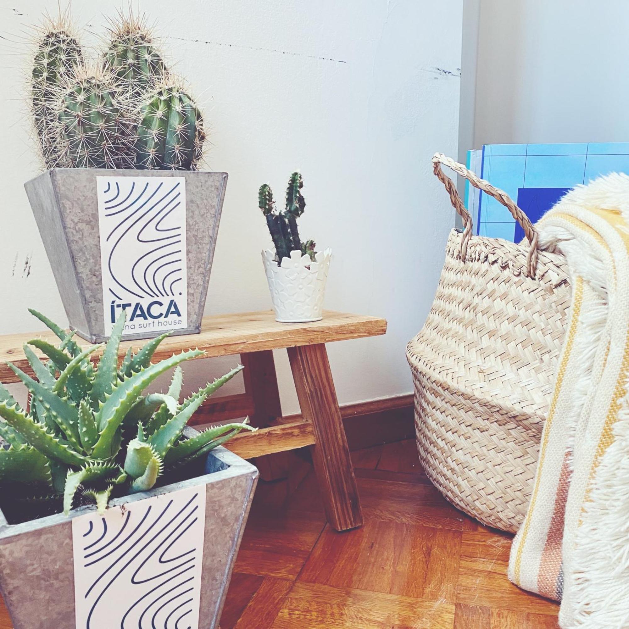 Itaca Experience Playa Do Cabedelo Apartment Viana do Castelo Ngoại thất bức ảnh